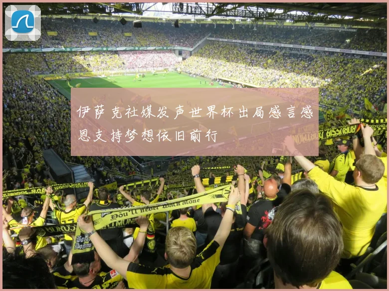 伊萨克社媒发声世界杯出局感言感恩支持梦想依旧前行