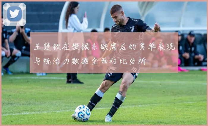 王楚钦在樊振东缺席后的男单表现与统治力数据全面对比分析